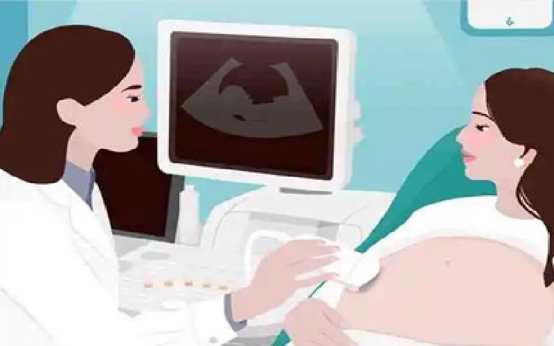 日本山梨县试管代生