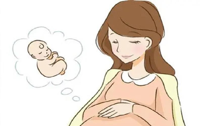 山东试管医生排名代生